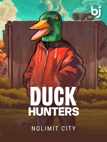 Duck Hunters game cover